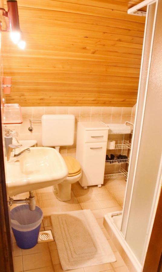 2 Studio & Apartment Cvetek 博希尼 外观 照片